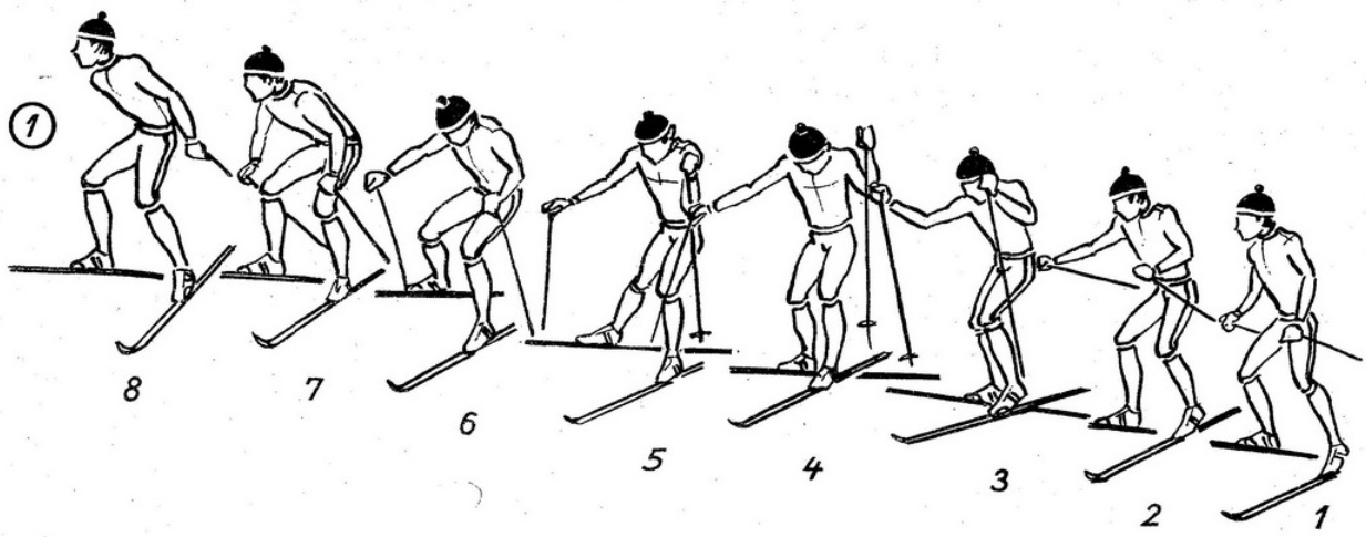 Структура движений одновременного двухшажного хода при преодолении подъемов
